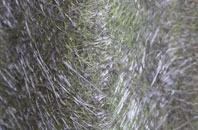 Eliburn fibreglass roof work